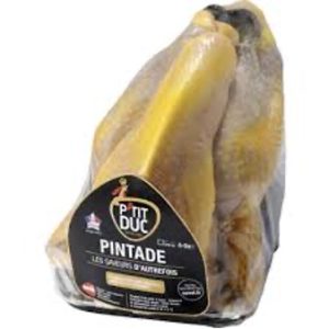 Guinea Fowl