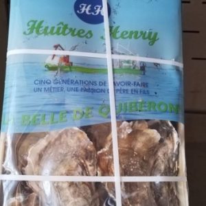 Bretany Oysters - Size 1 (biggest ones)